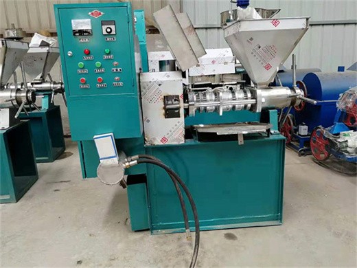 good price big oil press machine cold press hemp/peanut in Ethiopia