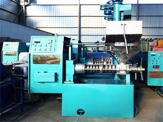 6yl-95 screw big cold oil press machine in Malaysia