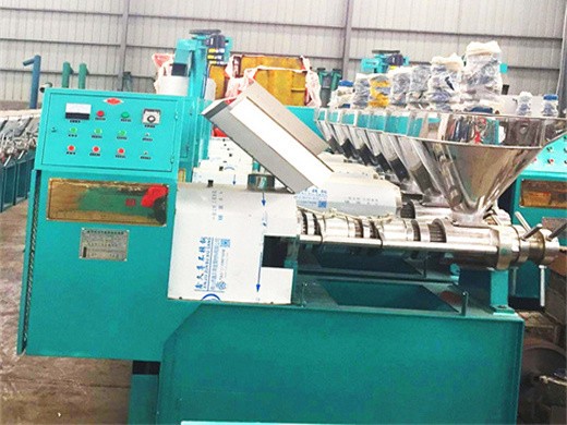 automatic screw oil press machine mustard oil expeller corn germ in Zimbabwe