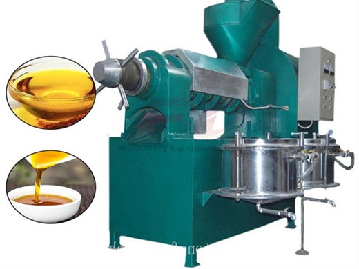 peanut cold press oil machine linseed sesame coconut oil expeller in Togo