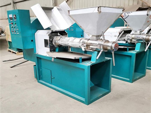 high cost-effective sesame meat oil seed press machine
