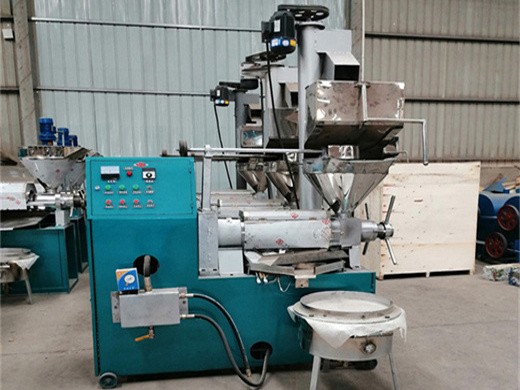 sesame hemp seed oil press machine groundnut oil in Lagos