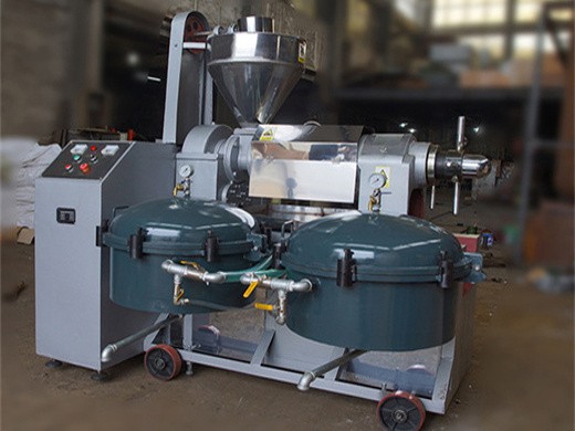 cylinder squeeze pole cold hot stainless steel oil press