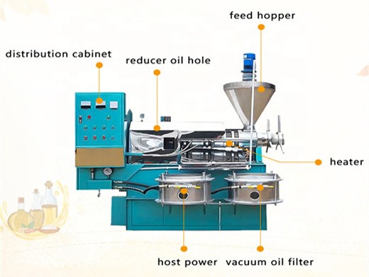 professional high quality oil cold press machine sale hj p60 in Kenya