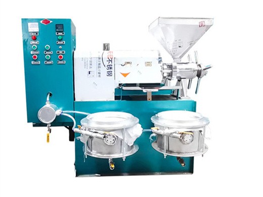 the most popular cold pressed seed oil extractor cost in India