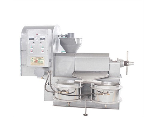 safflower seed coconut oil press machine for sale