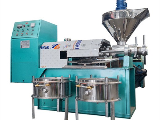 in djibouti high standard large groundnut oil press machine in Nigeria