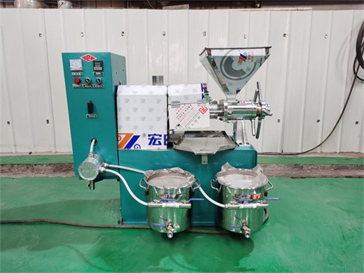 aliexpress hot and cold commercial oil press machine high in Mozambique