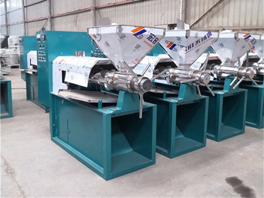 oil extruder soybean sunflower peanut sunflower cold press in Uganda
