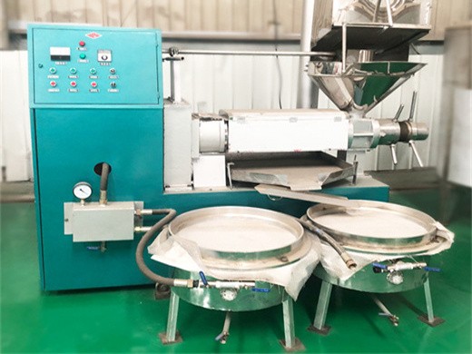 uzbekistan camellia seed oil expeller–most effective oil in Rwanda