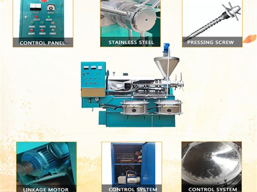 hot selling good quality castor oil press machine