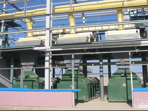 12 tonnes per day seed crushing oil expeller with round kettle in Mozambique