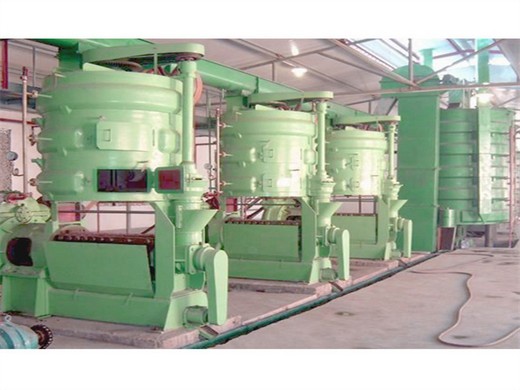 oil press machine 6yz 260 oil press machine 6yz 260