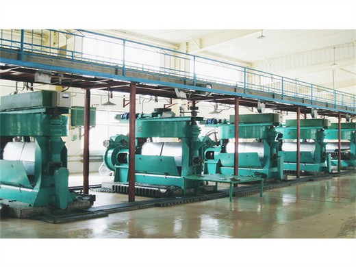 prief introduce for solvent of oil extraction process in Uganda