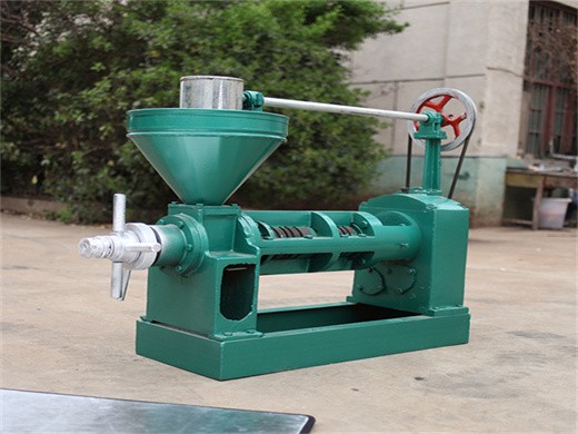 cooking oil cooking oil press machine make oil in Kenya