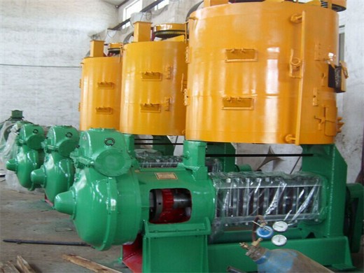 manufacturer walnut castor oil press machine -gzs13s1g