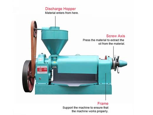 oil seed expeller extruder screw press in Zambia