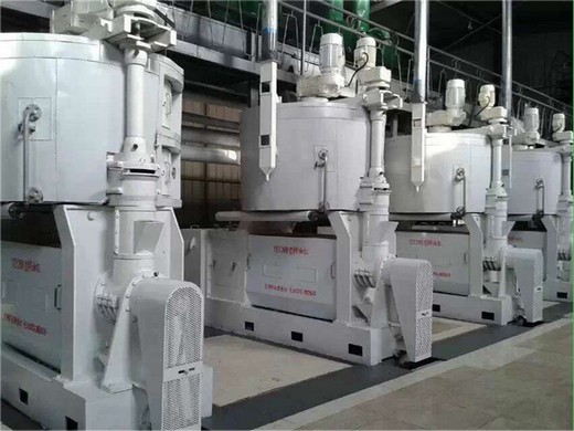 high quality large oil press machine for seed