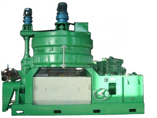 big automatic mustard oil machine with stainless steel screw parts in Nepal
