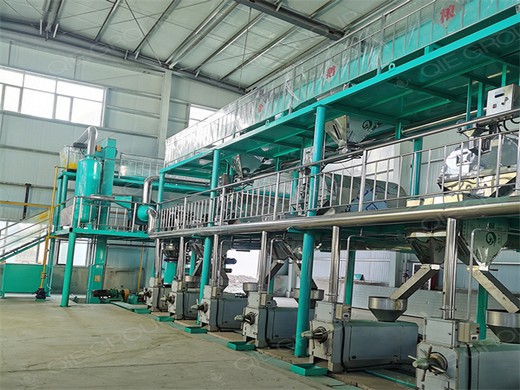 automatic sesame oil press machine cold press coconut oil machine in Indonesia