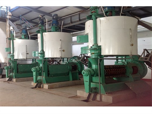 automatic commerical sesame oil extraction press making
