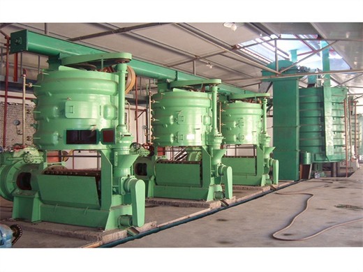 best quality automatic big cold flaxseed oil press machine