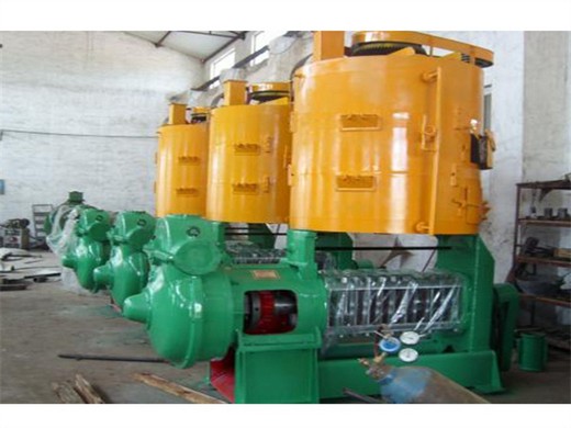 20kg/hour fully coconut oil press machine mustard seed oil cold