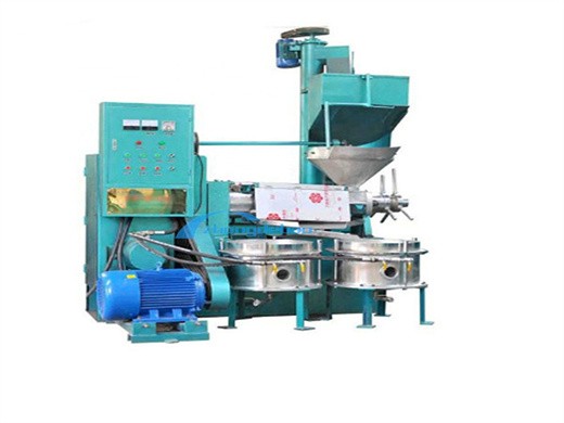 oil press machine all oil expeller automatic oil press commercial in Indonesia
