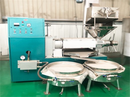 factory direct/high quality walnut oil solvent extraction machine in Ethiopia