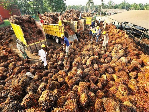 anderson expeller oil press machine for groundnut palm