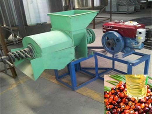 new design cold press palm fruit oil machine in Nigeria