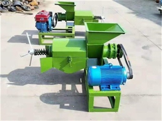 10-60t/d palm fruit oil press machine in Ethiopia