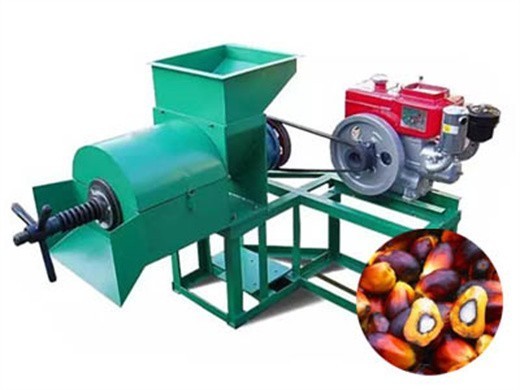 palm oil extraction process machine in Nigeria