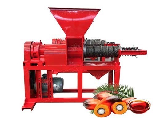 palm kernel oil processing machine palm kernel oil original sin