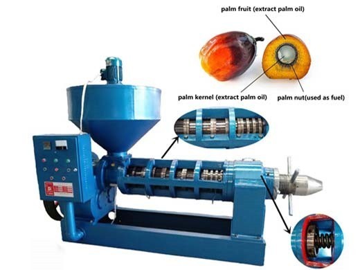 palm oil purifying machines oil pressing in Kenya