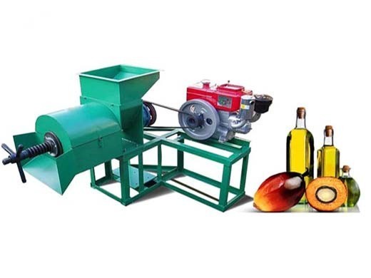manufacturer hot sale cold press palm bean oil processing machine in Malawi