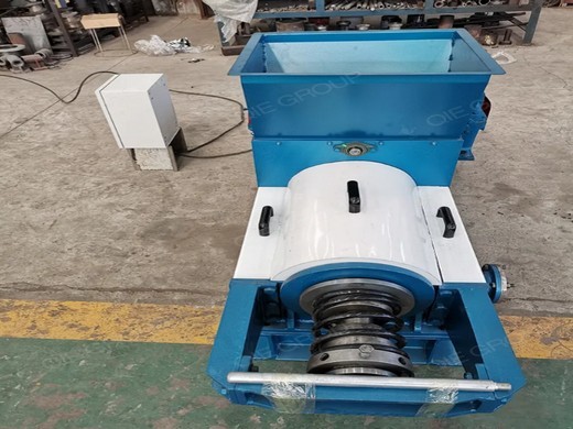 large palm oil press equipment