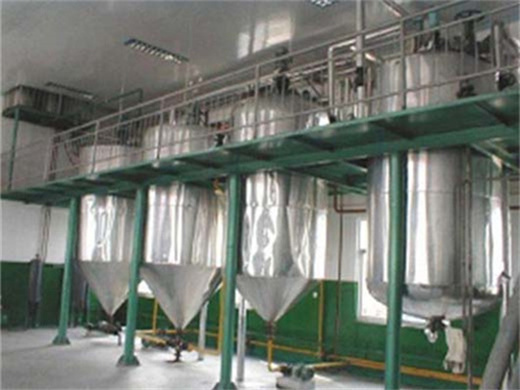medium and big scale twin screw oil expeller palm fruit oil mill in Ghana