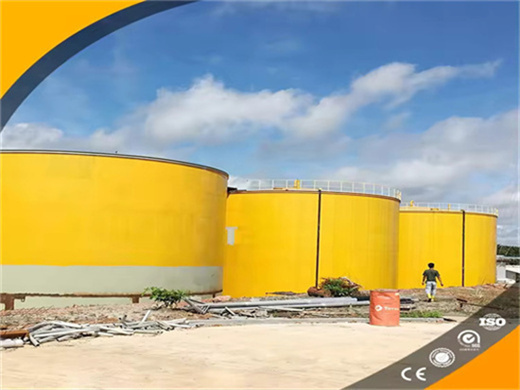 palm fruit oil processing line with top performance in Lagos
