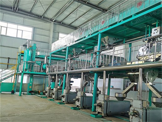 practical peanut palm oil mill oil making soybean oil machine