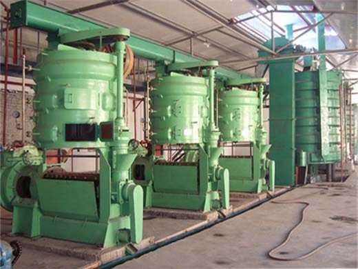 oil mill plant and oil extraction machine manufacturer offer