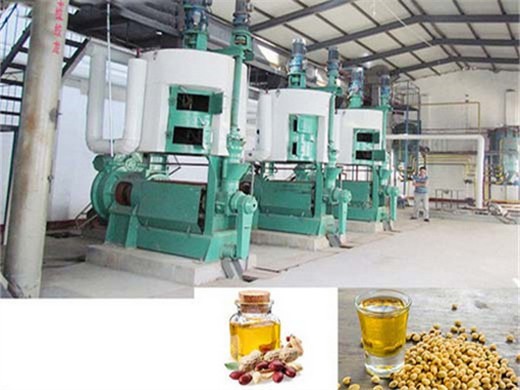 food grade vegetable seeds cooking oil production plant in Kenya