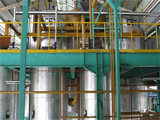185kg/h automatic oil production plant with filtration cooking 0il