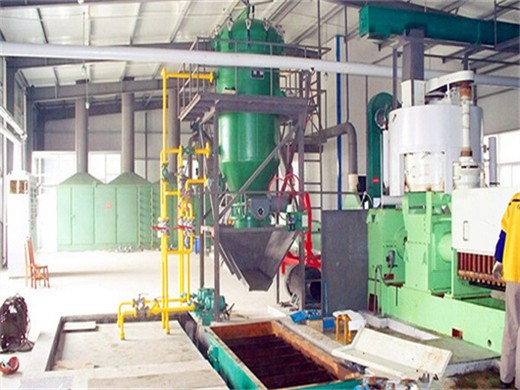 edible oil production line palm oil deodorizer in Mozambique