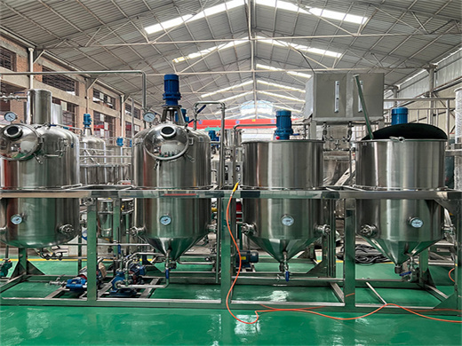 refined oil machinery oil press extraction machine in Ethiopia