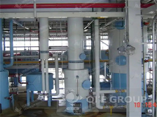 palm oil refinery plant project in Tanzania