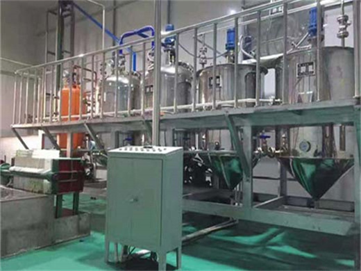 best selling high quality automatic big oil refine machine on sale