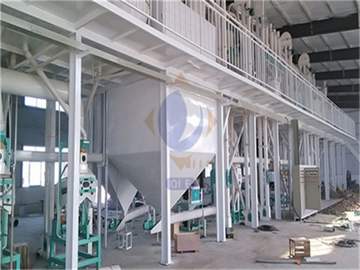 corn germ oil refining machine/30tpd cooking oil refinery plant